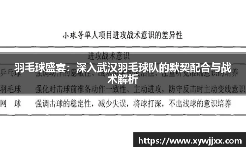 羽毛球盛宴：深入武汉羽毛球队的默契配合与战术解析